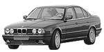 BMW E34 P306E Fault Code