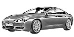 BMW F06 P306E Fault Code